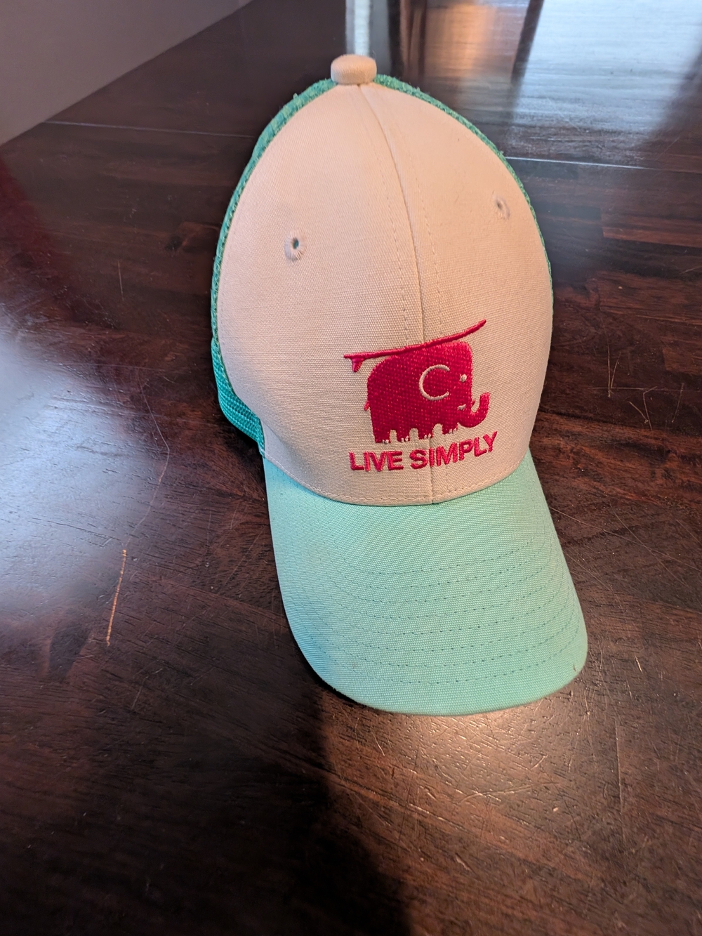 Patagonia Kids Trucker Hat - Mint, Cream & Pink Elephant